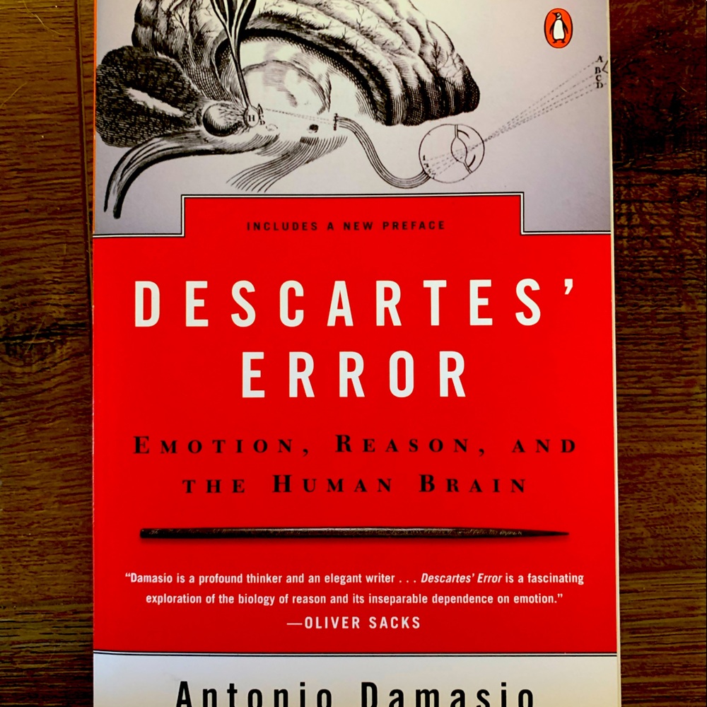 Descartes Error